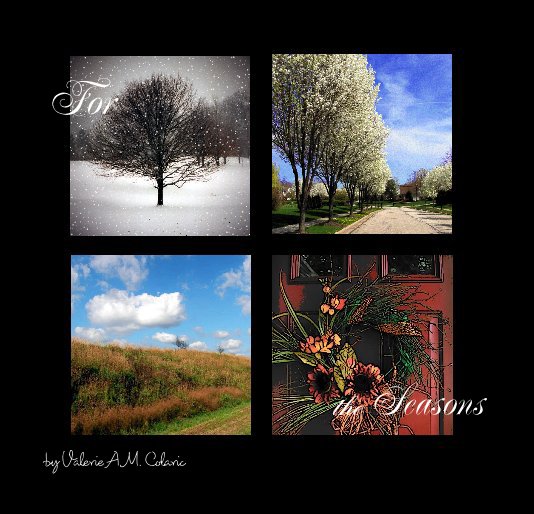 View For the Seasons by Valerie A. M. Colaric