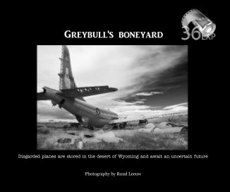 Greybull's boneyard book cover