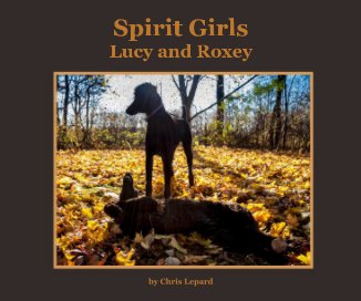 Spirit Girls book cover