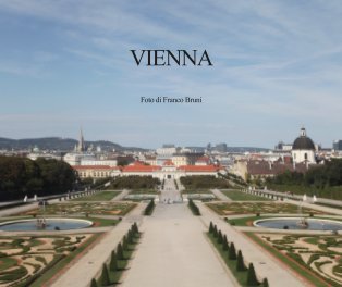 Vienna book cover