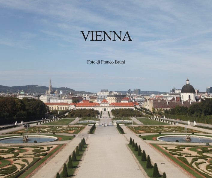 View Vienna by Franco Bruni