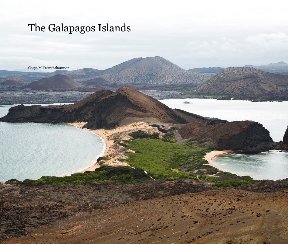 View The Galapagos Islands by Chrys M Tremththanmor