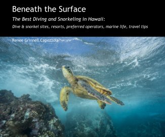 Beneath the Surface book cover