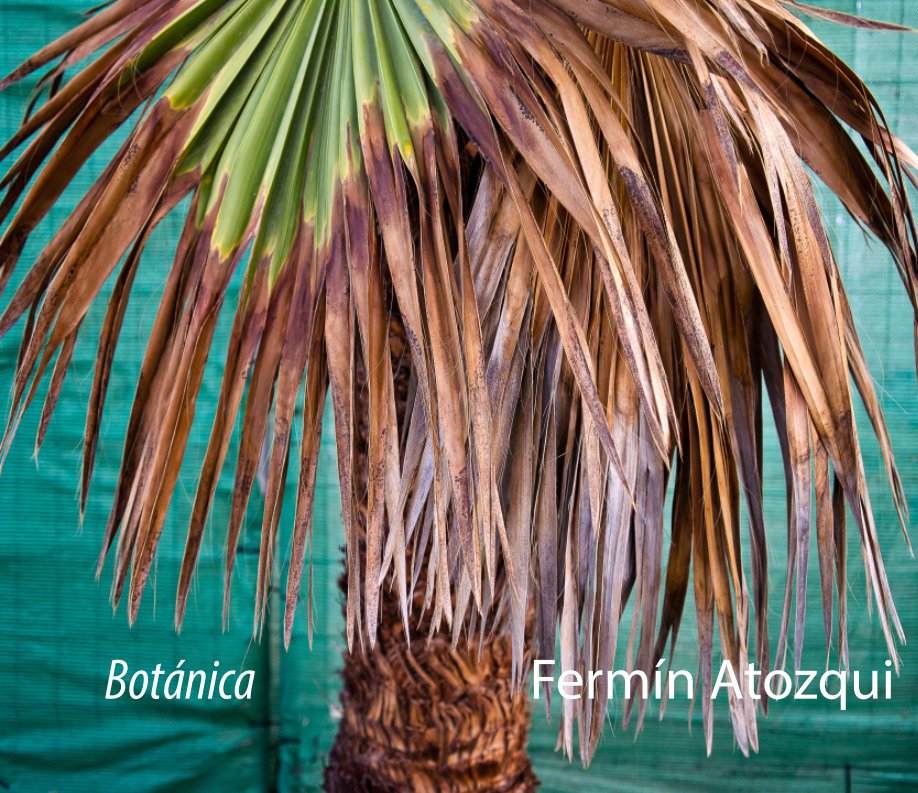 Botánica nach Fermín Atozqui anzeigen