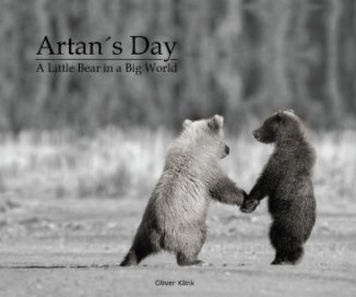 Artan's Day: book cover