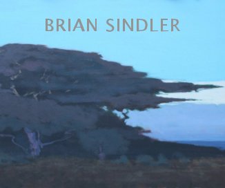 BRIAN SINDLER book cover