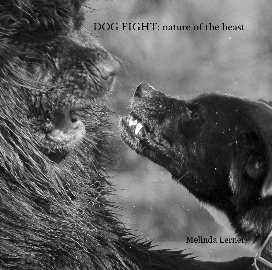 Visualizza DOG FIGHT: nature of the beast di Melinda Lerner
