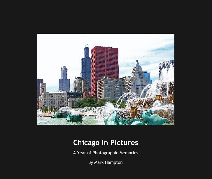 View Chicago In Pictures by Mark Hampton