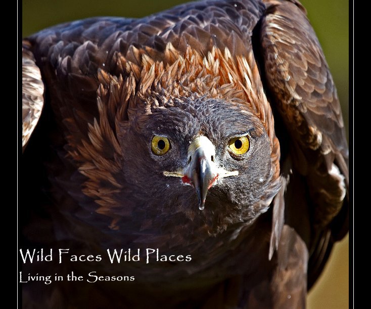 Ver Wild Faces Wild Places Living in the Seasons por Ray Rafiti