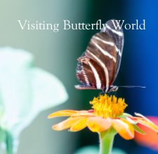 Visiting Butterfly World book cover