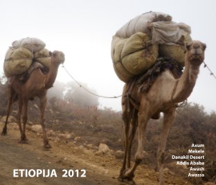 Ethiopia 2012 book cover