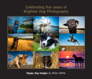 Celebrating five years of Brighton Dog Photography book cover