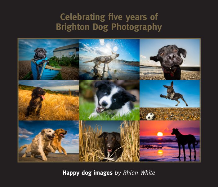 View Celebrating five years of Brighton Dog Photography by Rhian White