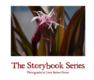 The Storybook Series book cover