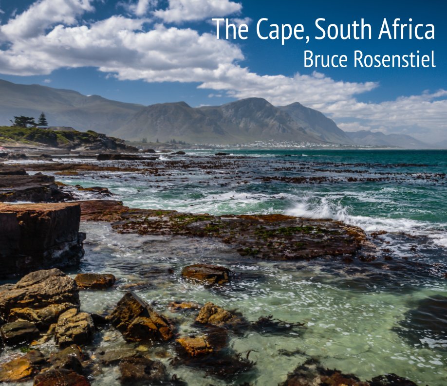 View The Cape, South Africa by Bruce Rosenstiel