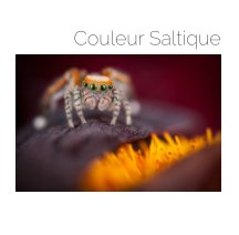 Couleur Saltique book cover