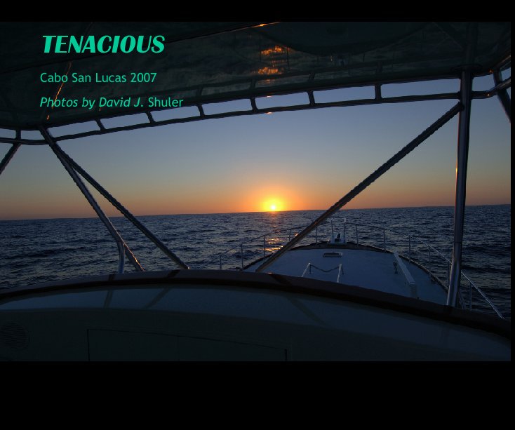 View TENACIOUS by Photos by David J. Shuler