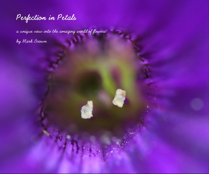 View Perfection in Petals by Mark Brown