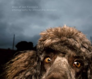 Dogs of San Francisco book cover
