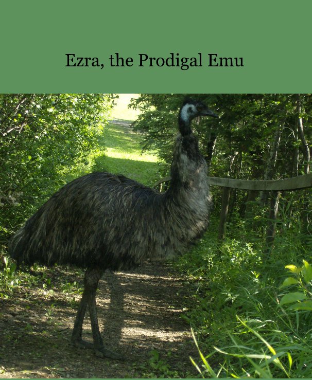 View Ezra, the Prodigal Emu by by Tammy Wooden & Lois Wooden