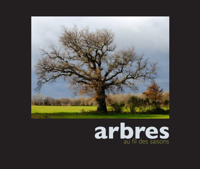 View Arbres au fil des saisons by isabelle cohendet