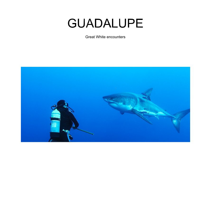 Visualizza Guadaluoe di Paul Harvell