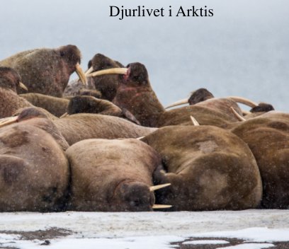 Djurliv i Arktis book cover