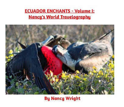 Ecuador Enchants book cover