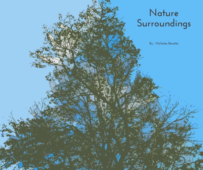 Visualizza Nature Surroundings di Nicholas Baratta
