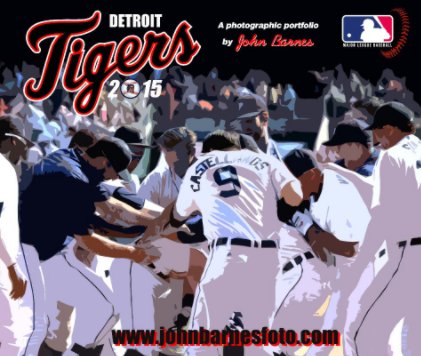 2015 Detroit Tigers book cover