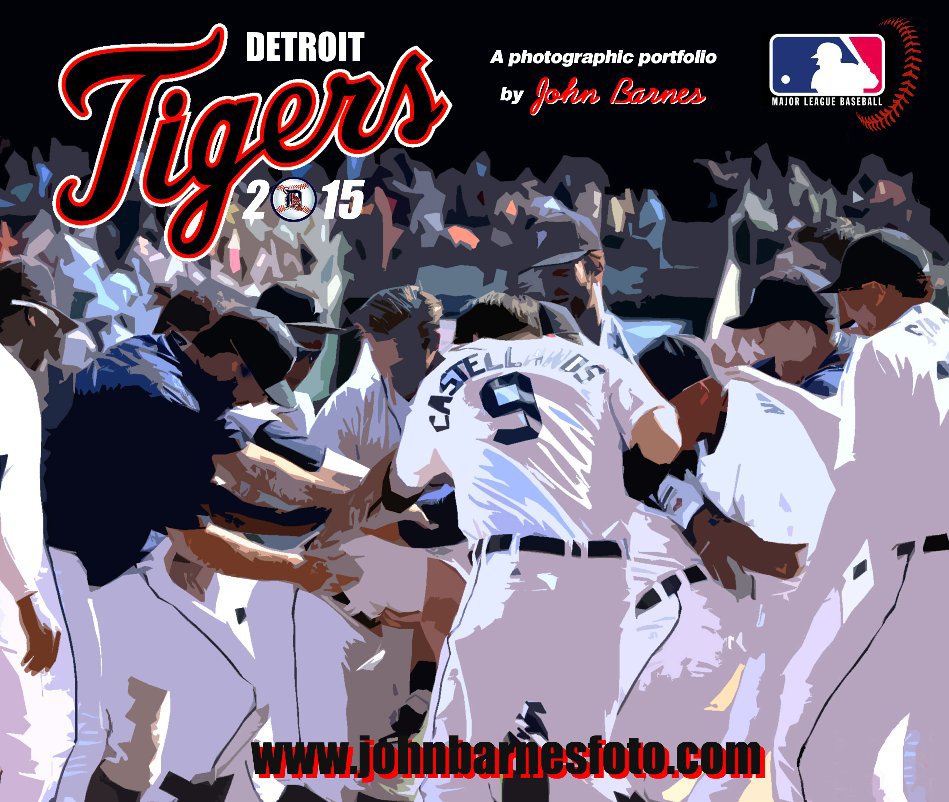 View 2015 Detroit Tigers by John Barnes