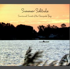 Summer Solitude book cover