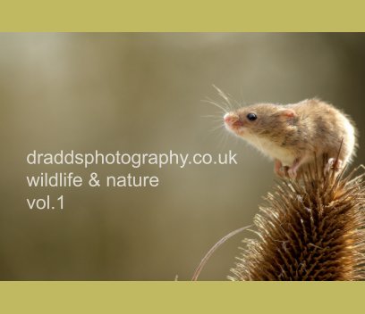 dradds photography book cover