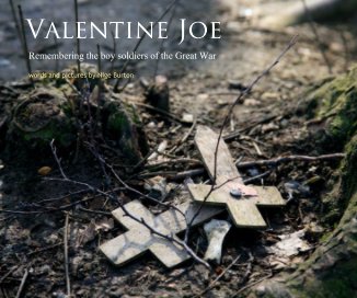 Valentine Joe book cover