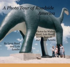 A Photo Tour of Roadside America book cover