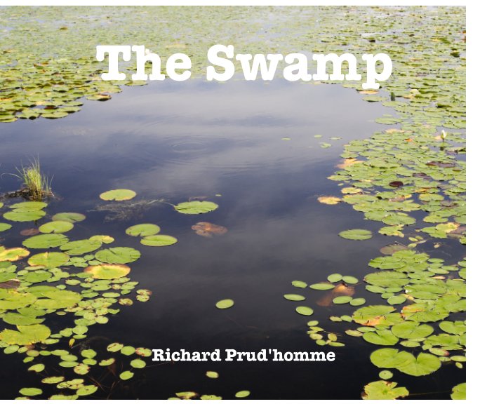 View The Swamp by Richard Prud'homme