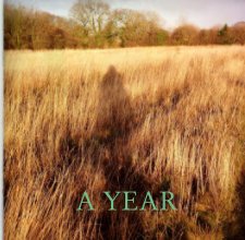 A YEAR book cover