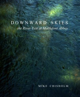 Downward Skies book cover
