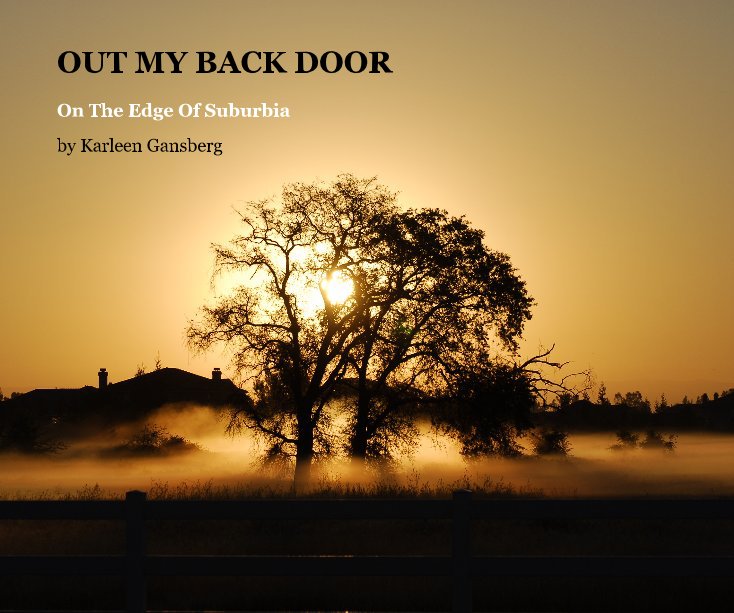 Ver OUT MY BACK DOOR por Karleen Gansberg