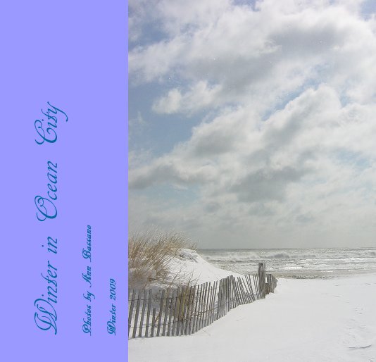 Ver Winter in Ocean City por Winter 2009