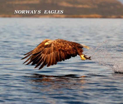 NORWAYS EAGLES book cover