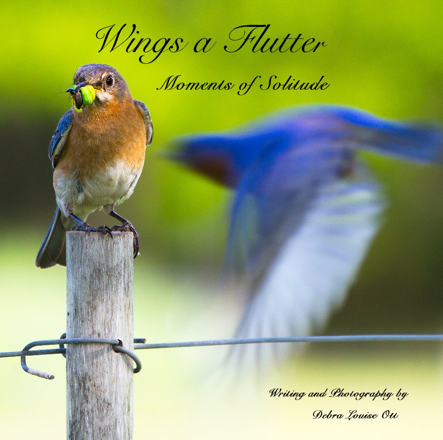 Ver Wings a Flutter  (12 by 12 Large Square) por Debra Louise Ott