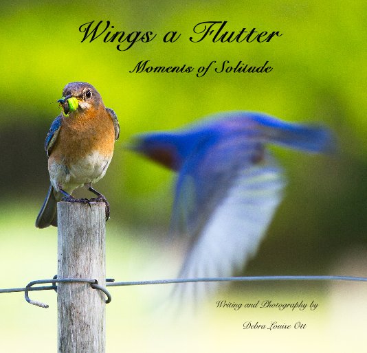 Ver Wings a Flutter (7 by 7 Small Square) por Debra Louise Ott
