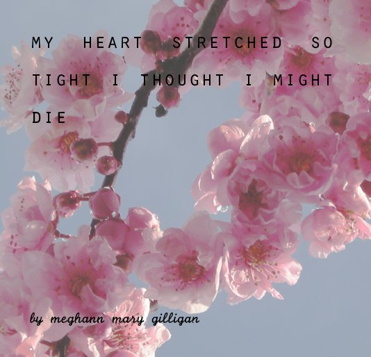 View my heart stretched so tight i thought i might die by meghann mary gilligan