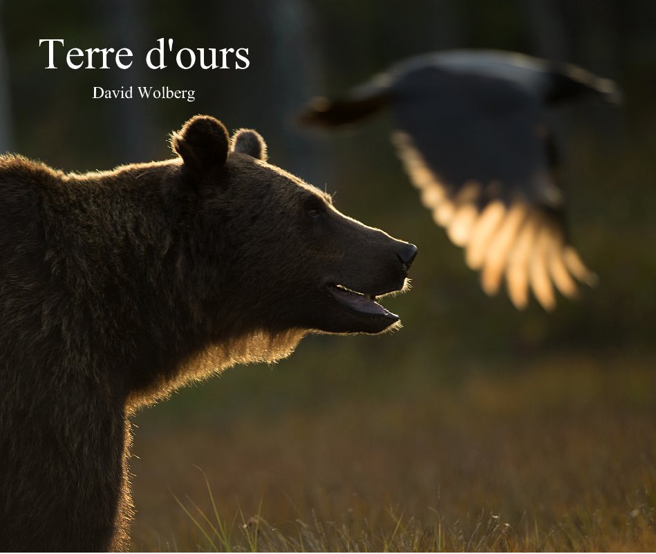 Ver Terre d'ours por David Wolberg