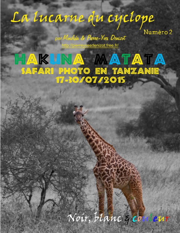 Visualizza LA LUCARNE DU CYCLOPE - numéro 2 (Tanzanie 2015) di Pierre-Yves DENIZOT