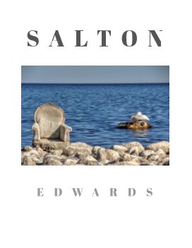 SALTON book cover