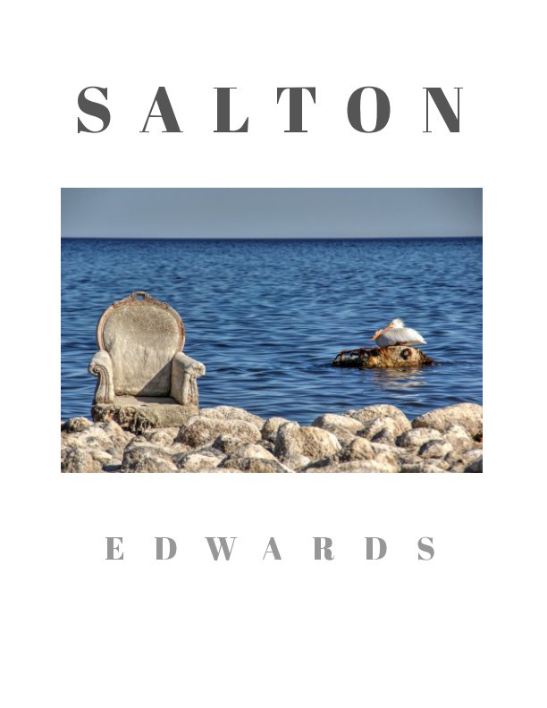 Ver SALTON por Daniel M. Edwards