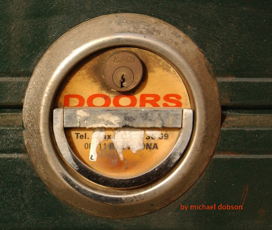 View The Door Book by michael dobson