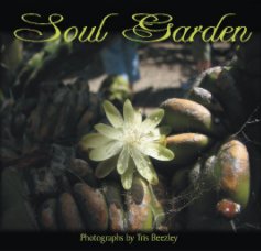 Soul Garden book cover